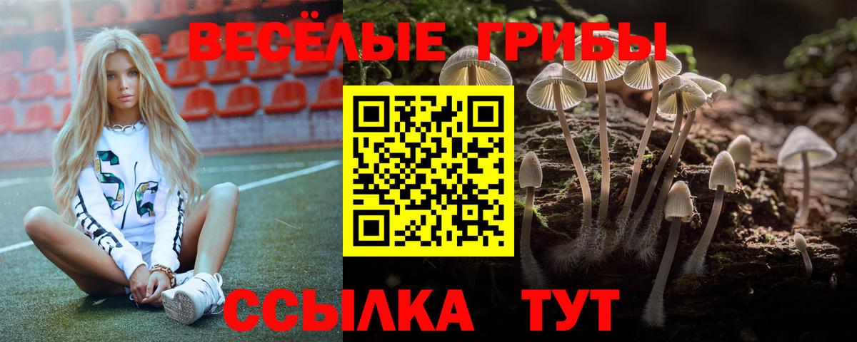 Галлюциногенные грибы мицелий  Вход с VPN  Альметьевск  Галлюциногенные грибы MAGIC MUSHROOMS 