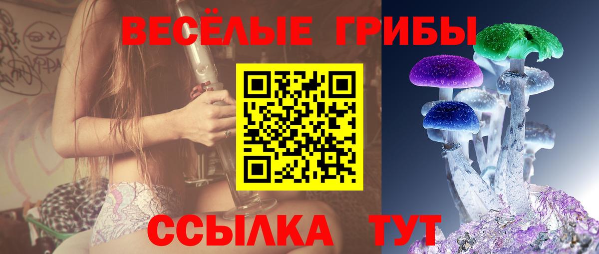 Псилоцибиновые грибы GOLDEN TEACHER Альметьевск